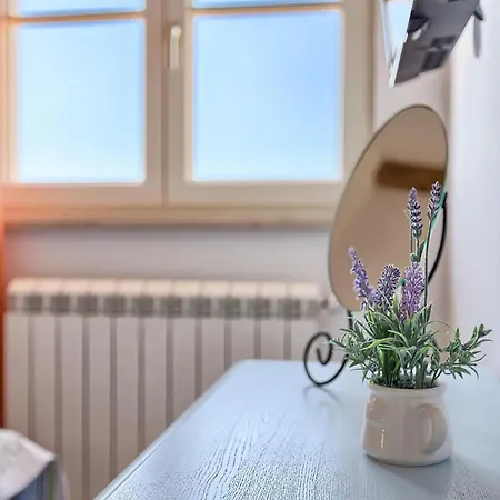 Loverka 펜션 풀라